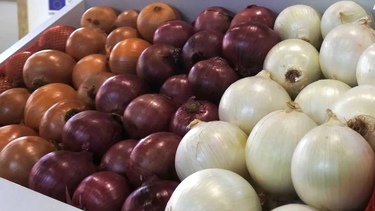 Castilla-La Mancha destina 720.000 euros a mercados agr&iacute;colas