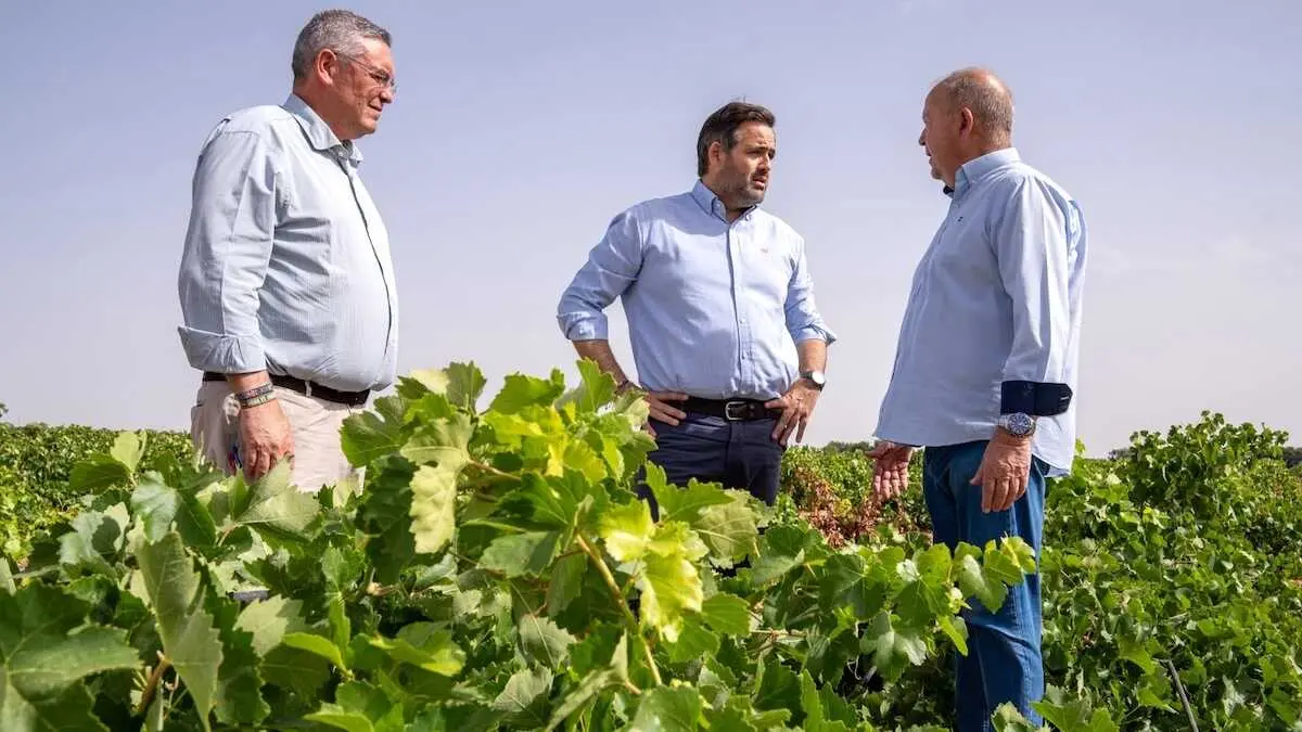 El presidente del PP de Castilla-La Mancha, Paco N&uacute;&ntilde;ez, en su visita a una explotaci&oacute;n agr&iacute;cola de Tomelloso (Ciudad Real)