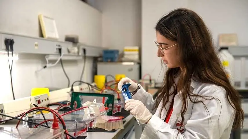 La UCLM destina 5,5 millones de euros a 39 contratos predoctorales, universidad, ciencia, investigaci&oacute;n, investigadora, investigadores, laboratorio,
