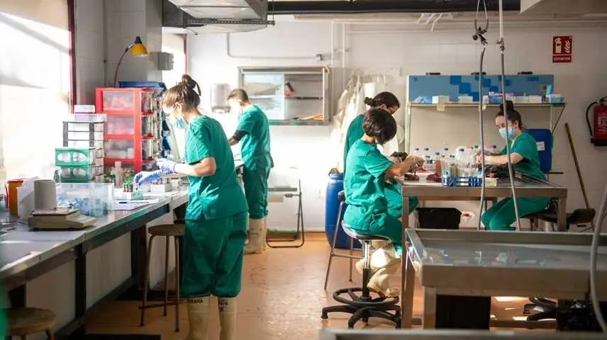 La UCLM lanza 30 contratos postdoctorales con 3,2 millones de euros