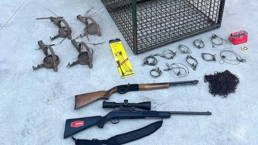 Tres detenidos por matar un lince ib&eacute;rico en un coto de Cuenca