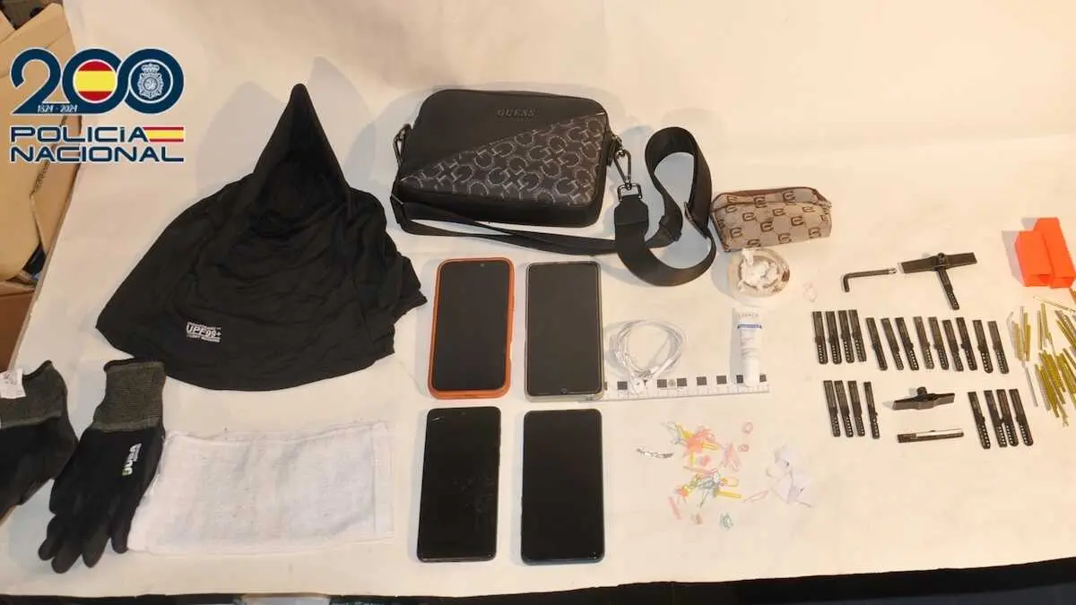 La Polic&iacute;a detiene a cuatro ladrones cuando iban a robar en Talavera de la Reina (Toledo)