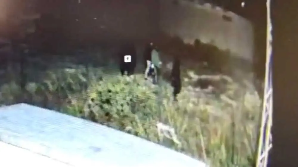 Momento en el que el grupo de ladrones de cable de cobre se dispon&iacute;a a robar