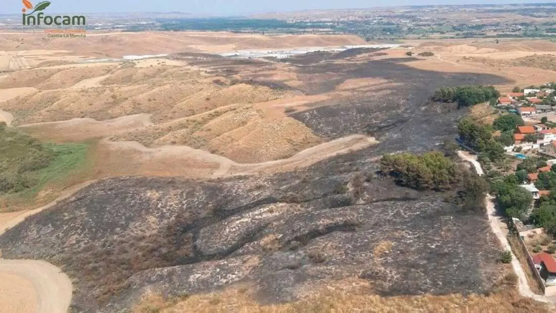 Zona calcinada del incendio de Borox (Toledo)
