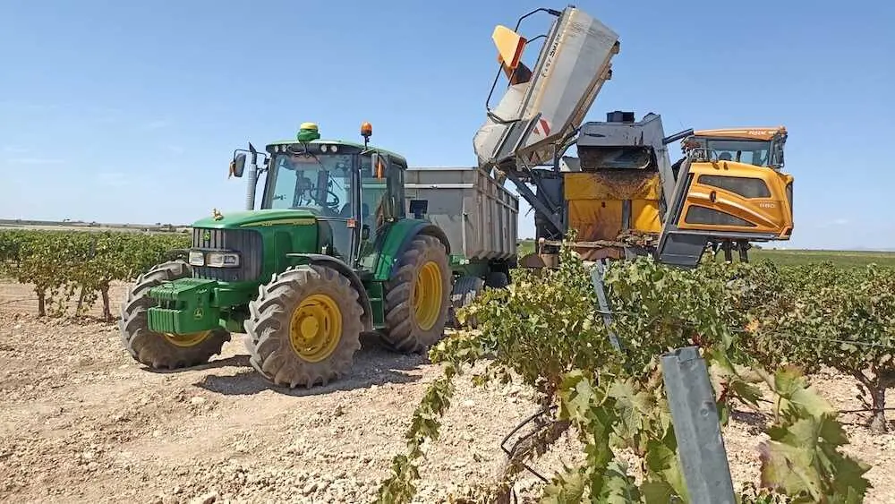 La vendimia 2026 arranca en Ciudad Real con una merma de cosecha