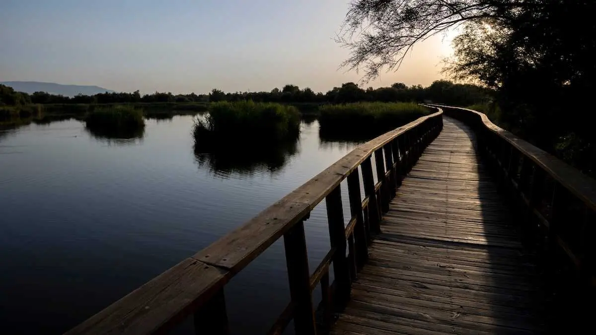 Vista del amanecer este jueves en las Tablas de Daimiel (Ciudad Real) - EFE/Jesus Monroy