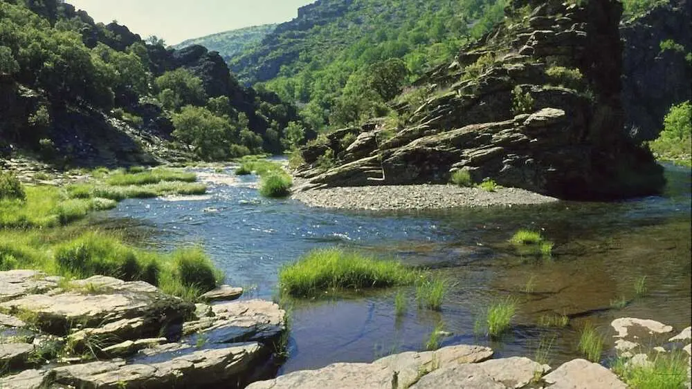 Madrid reclama agua del r&iacute;o Sorbe y pone en alerta a Guadalajara
