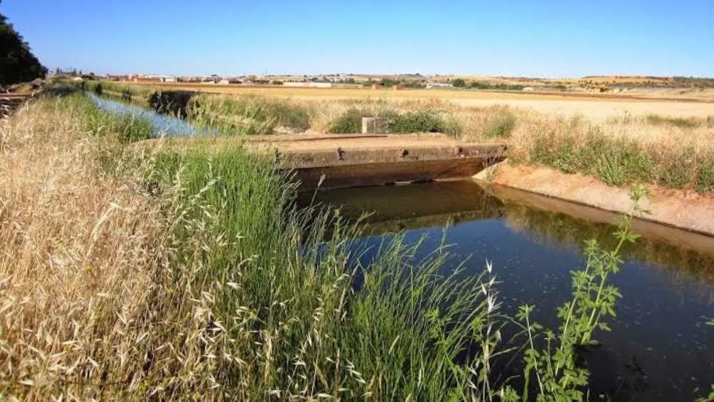 La Comunidad de Regantes del Canal del Henares cumple cien a&ntilde;os