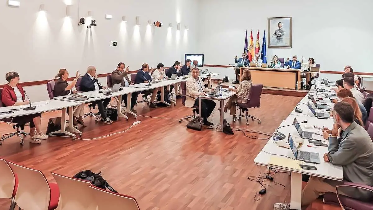 En la imagen un instante del Pleno del Ayuntamiento de Guadalajara celebrado este viernes en el Consistorio