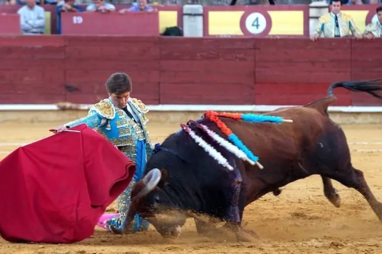 Puerta Grande para el joven Juan Leal en la última de feria en Ciudad Real Puerta Grande para el joven Juan Leal en la última de feria en Ciudad Real