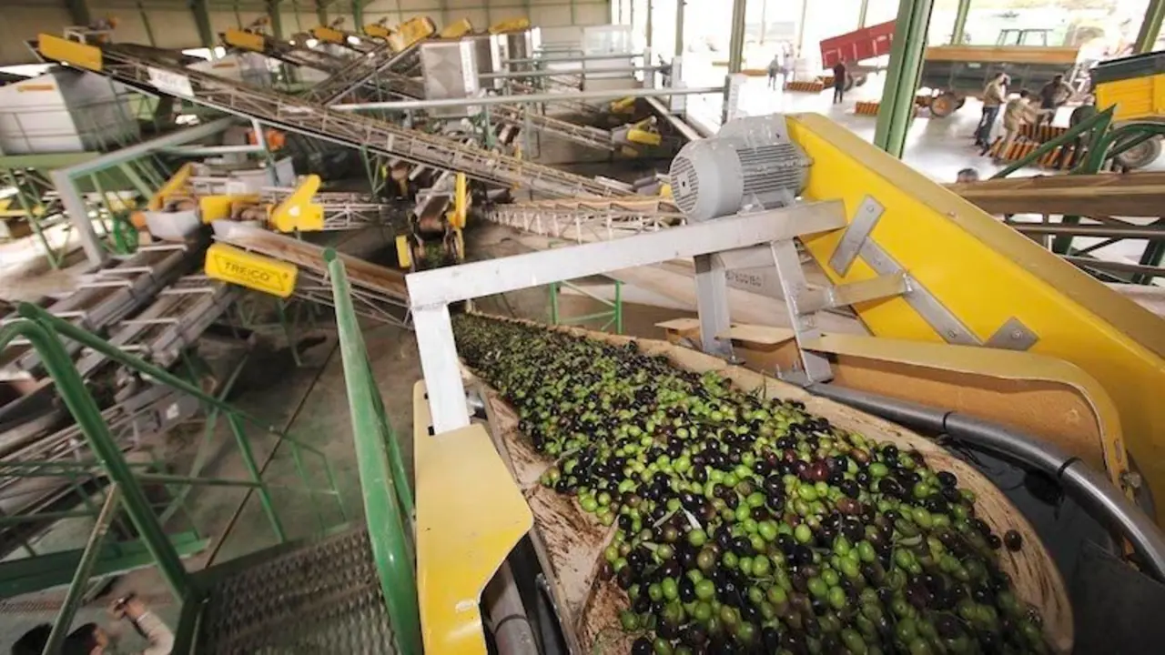 La UE permite almacenar otras 17.630 toneladas de aceite, el 18% de lo solicitado