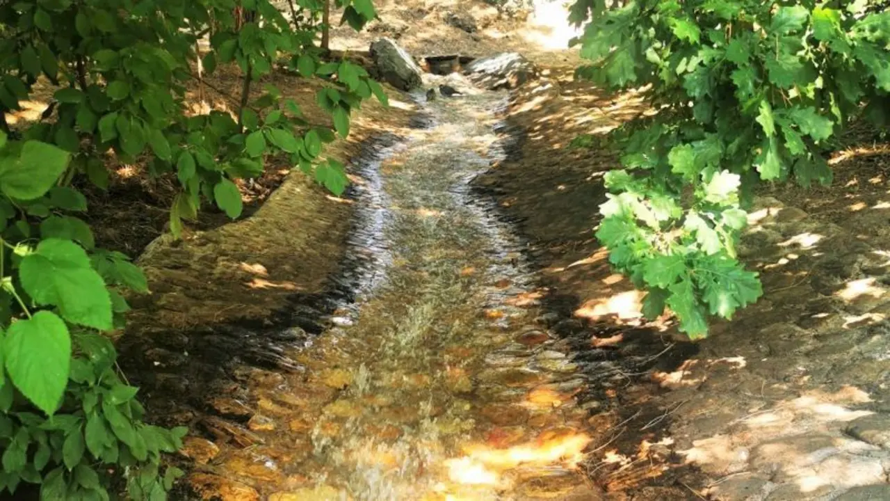 Recuperan un afluente del arroyo del parque de 'La Quebradilla' de Azuqueca de Henares (Guadalajara)