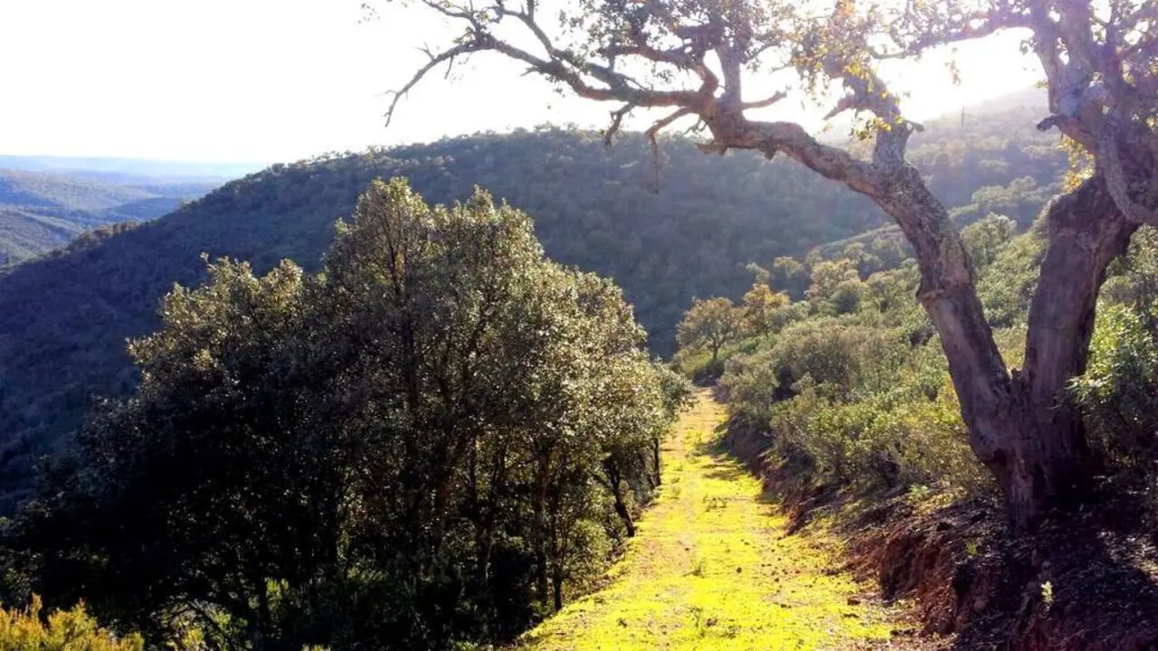 Los bosques de ribera y las laderas de Umbría dan color al Parque Nacional de Cabañeros en otoño