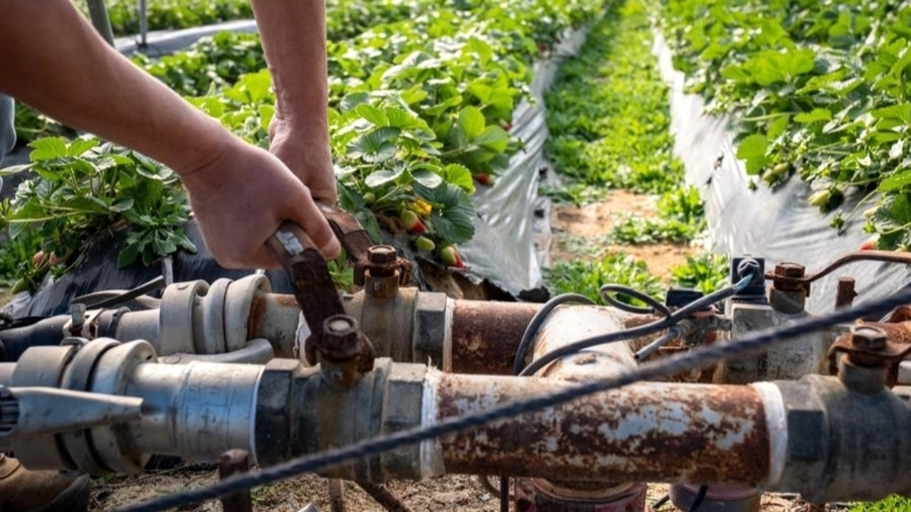 ¿Cómo certificar el buen uso del agua en la agricultura?, regantes, regadío, agua,&nbsp;