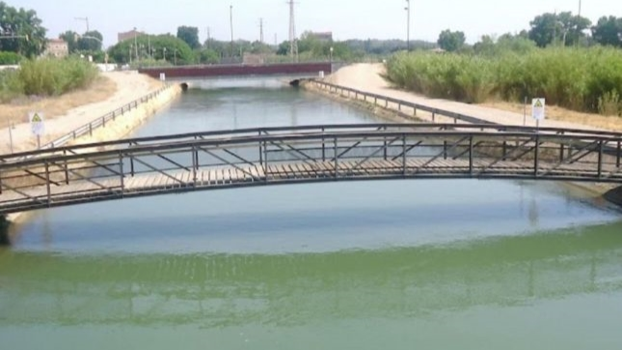 Macabro hallazgo en un canal: encuentran un cadáver sin cabeza flotando en el agua