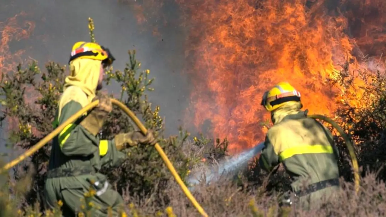 Los bomberos de Parques Nacionales piden al Gobierno trabajar todo el año, incendio, fuego, incendios, fuegos, geacam,&nbsp;