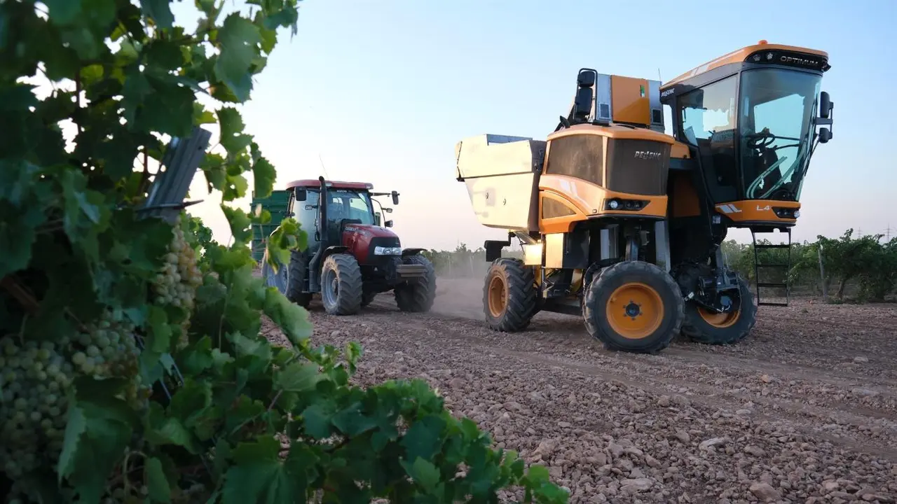 Agricultores tendrán reducciones fiscales por la compra de gasóleo y fertilizantes