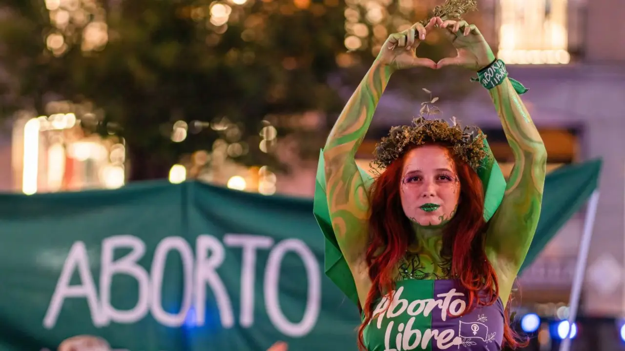 aborto, embarazo, interrupción del embarazo, embarazada, manifestación, abortos