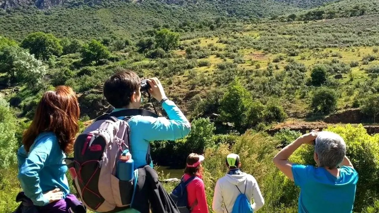 Castilla-La Mancha cierra 2022 con 647.990 viajeros y 1.754.966 pernoctaciones extrahoteleras, turismo rural, turistas, viajeros, alojamientos rurales, excursionistas,&nbsp;