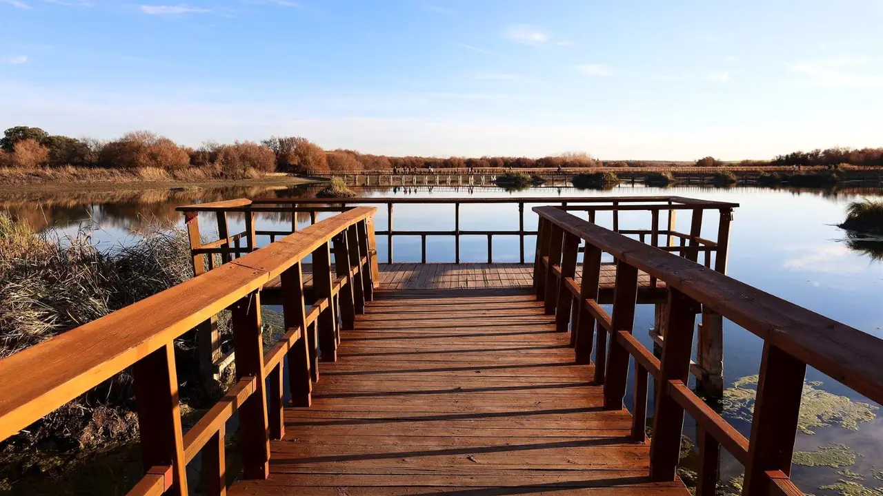 Imagen de archivo del Parque Nacional de Las Tablas de Daimiel - EP/Patricia Galiana