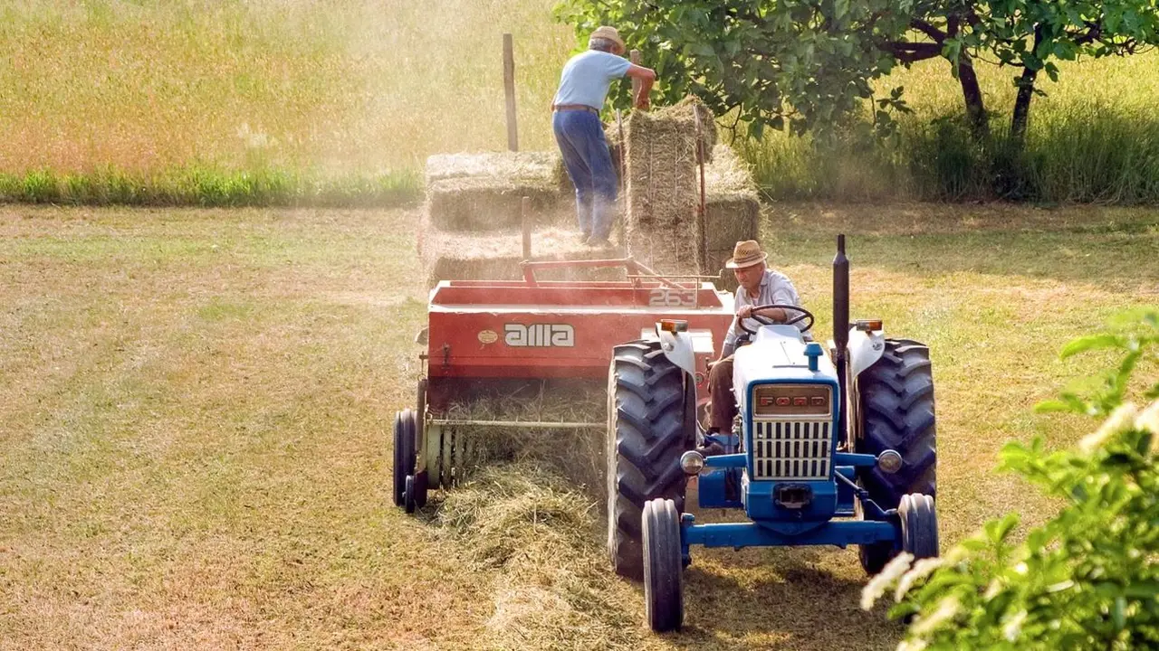tractor, tractores, agricultura, agricultores, cosecha, campo, siembra, Política Agraria Común, PAC, agricultor, agrícola,&nbsp;