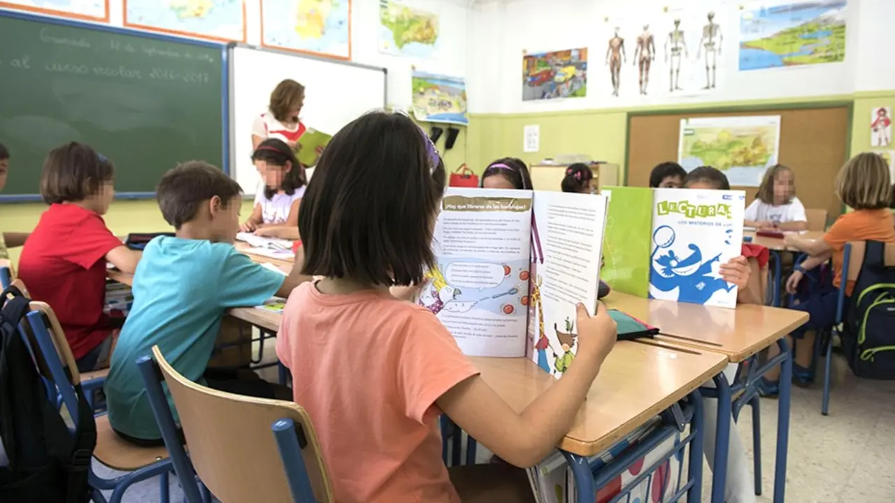 alumnos, clase, educación, libros de texto, enseñanza, docente, colegio, profesores, estudiantes, primaria,