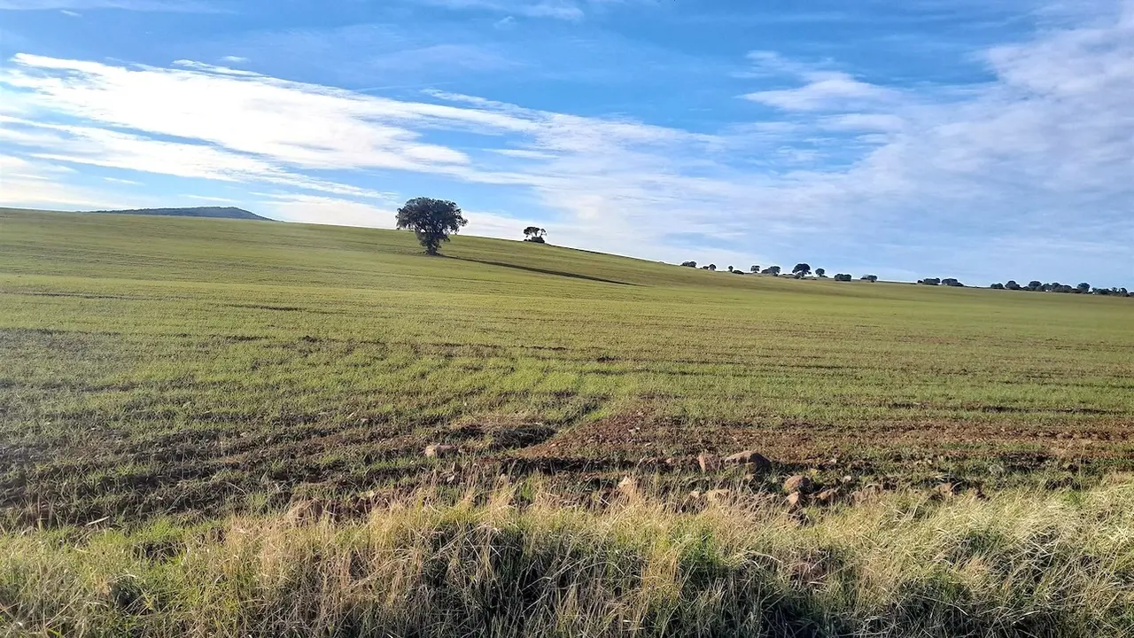 Rechazan el plan de Quantum para reactivar la minería de tierras raras en Ciudad Real