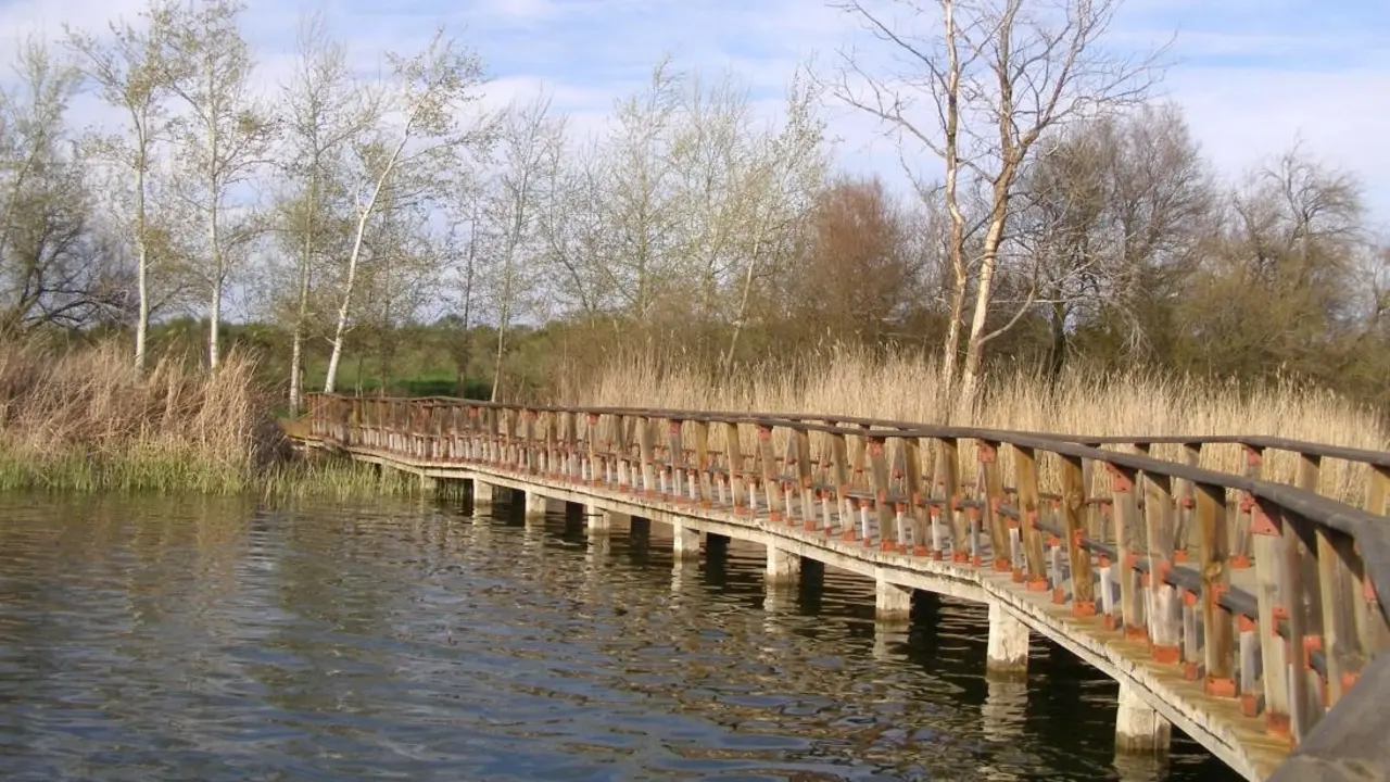 Crean un grupo de trabajo para avanzar en recuperación de las Tablas de Daimiel