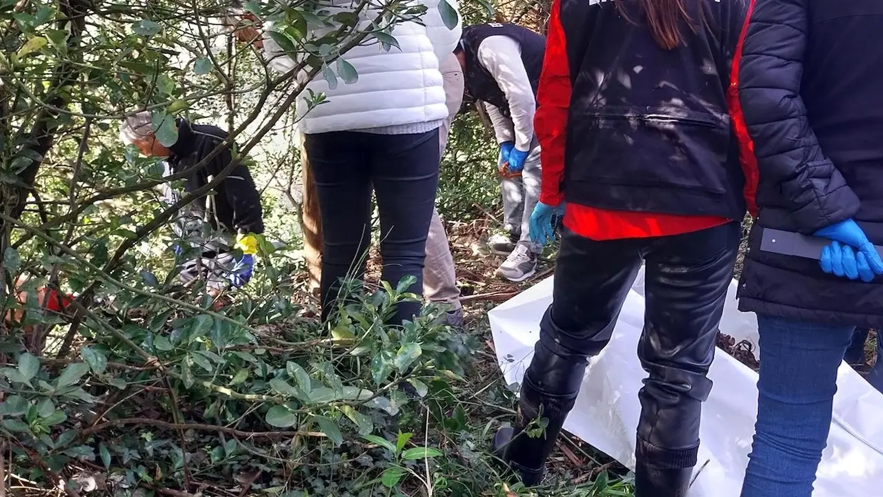 Encuentran un cadáver tirado entre unos matorrales en extrañas circunstancias