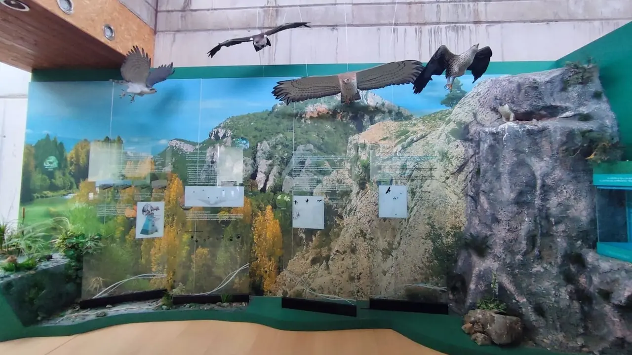 El Centro de Interpretación del Tajo en Zaorejas triplica su número de visitas