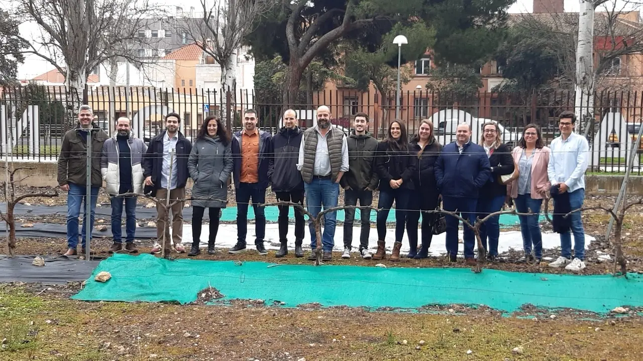 La UCLM participa en un proyecto centrado en el impacto de la agrovoltaica en la vid para la mejora de la producción del vino