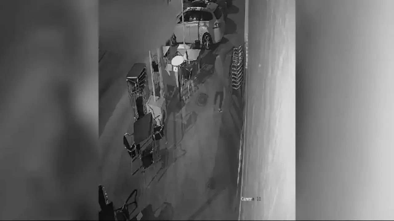 Seis detenidos por robos en bares y naves industriales de municipios de Toledo