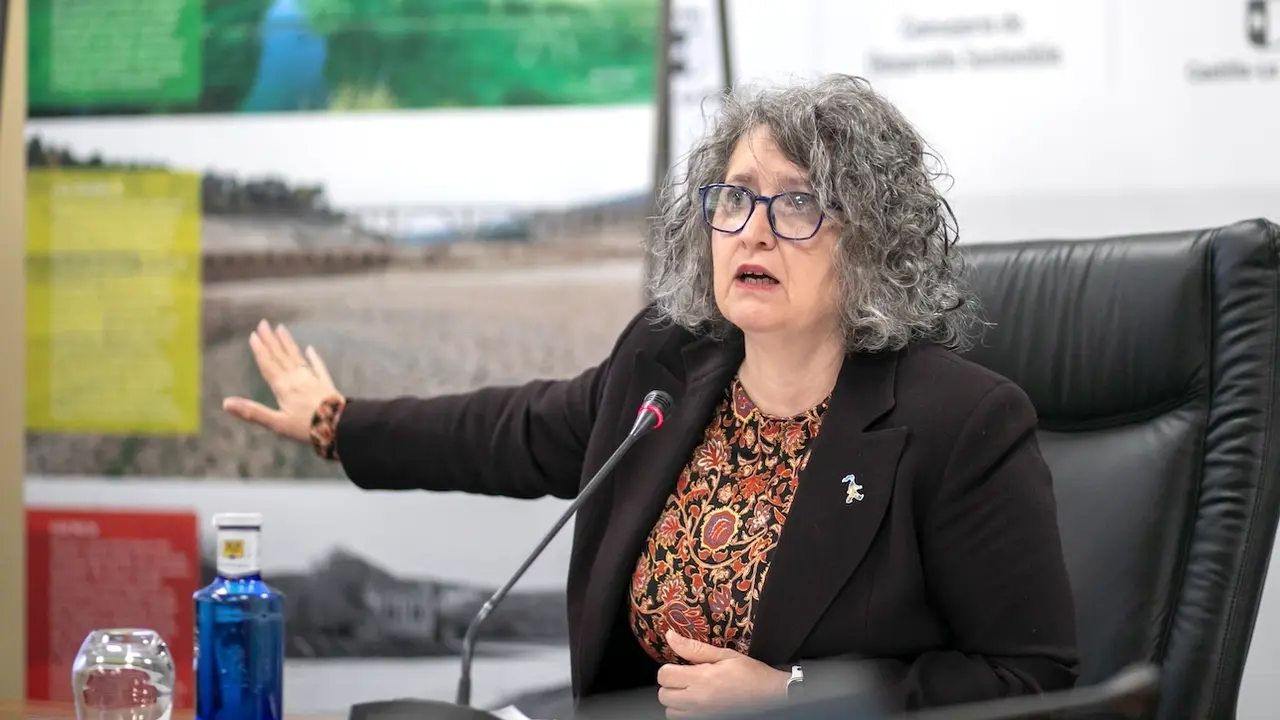 La consejera de Desarrollo Sostenible de Castilla-La Mancha, Mercedes Gómez, durante la rueda de prensa que ha ofrecido este viernes