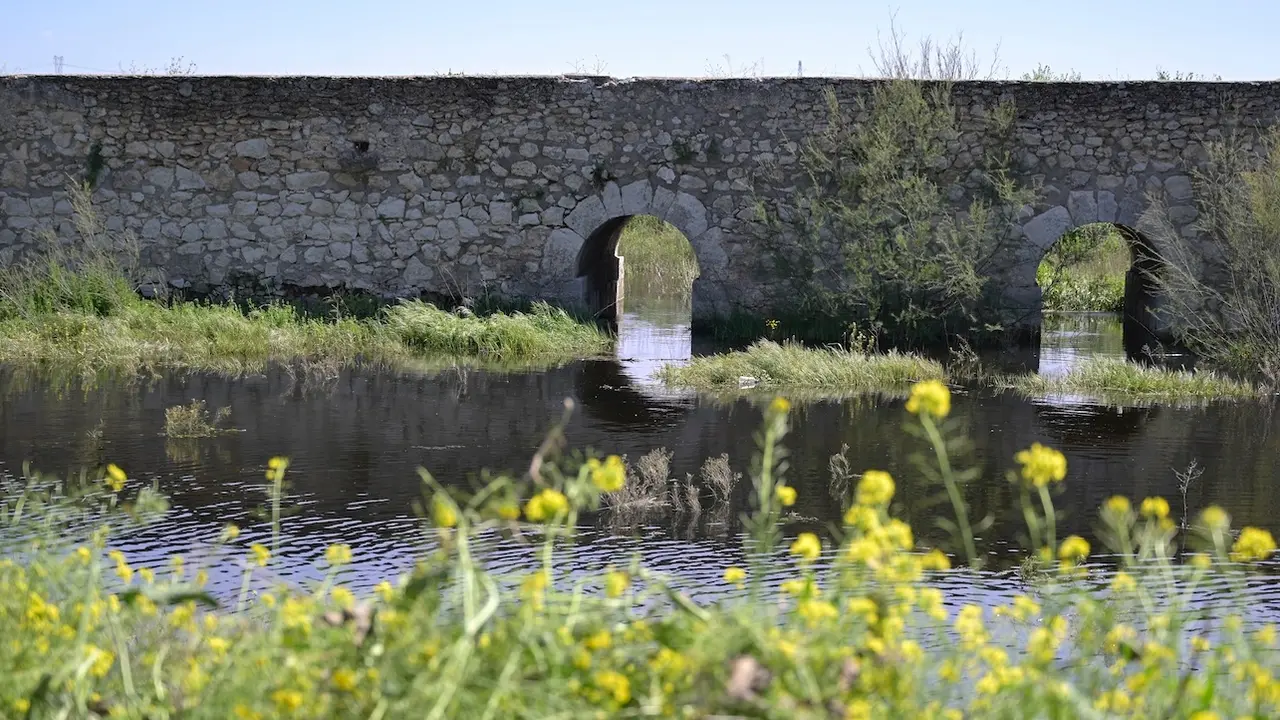 El río Gigüela, bajo el puente romano de Arenas de San Juan (Ciudad Real), diez años después de que lo hiciera la última vez en el año 2014, ha comenzado a aportar agua de forma natural al Parque Nacional de Las Tablas de Daimiel - EFE/Jesús Monroy
