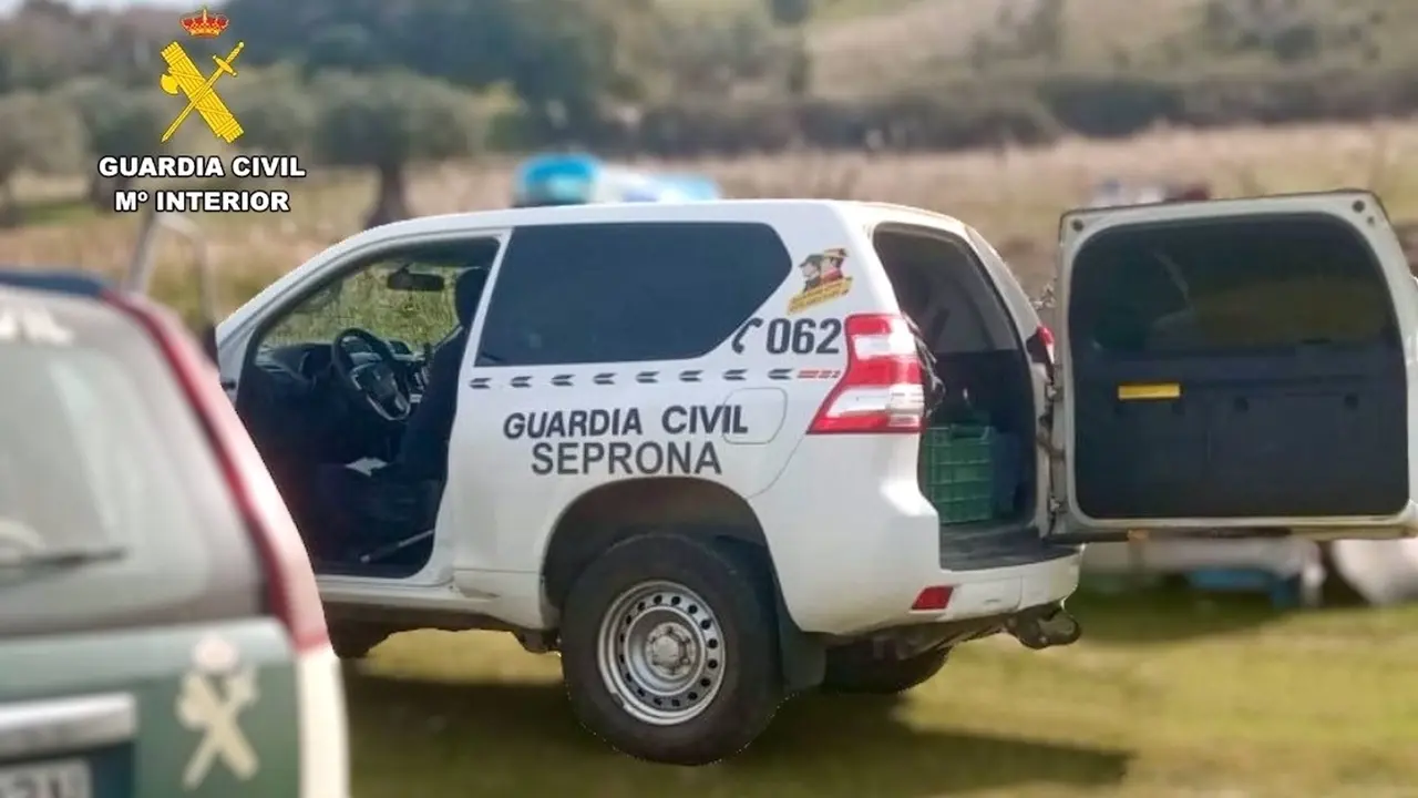 Detenido por matar con una carabina de aire comprimido a los gatos de su vecina, seprona, Guardia Civil, cadáver, paraje, patrulla
