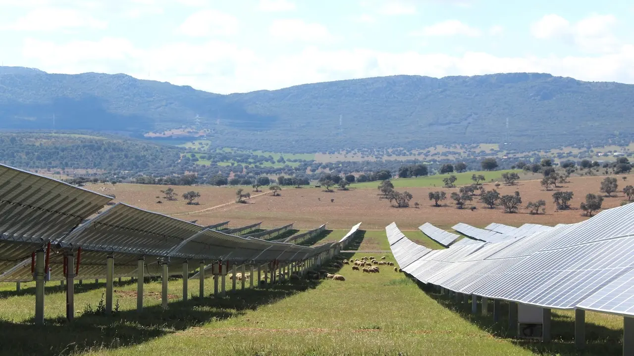 Naturgy invierte 76 millones para construir 3 nuevas plantas fotovoltaicas en Castilla-La Mancha, placas solares, energía solar,