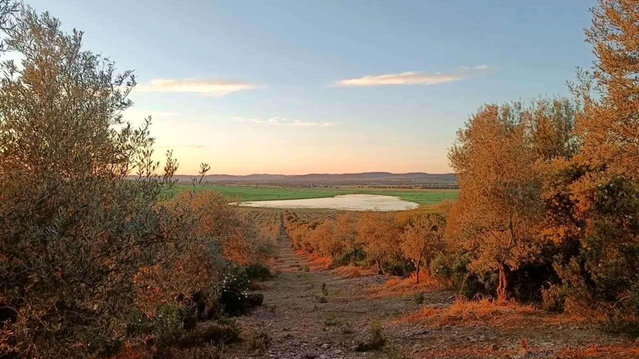 Las lagunas volcánicas del Campo de Calatrava, en Ciudad Real, se llenan de agua y belleza - EFE/Beldad