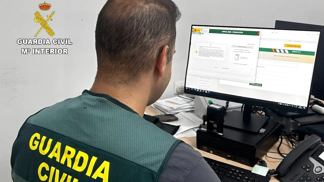 Cae una red criminal tras realizar una estafa bancaria a una vecina de Pelahustán (Toledo), Guardia Civil