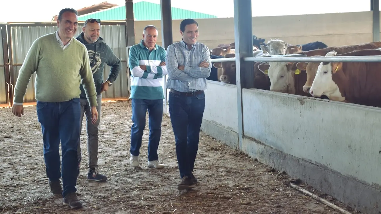 Veterinaria de precisión diagnóstica S.L. introduce el Big Data y la Inteligencia Artificial en la gestión de explotaciones ganaderas