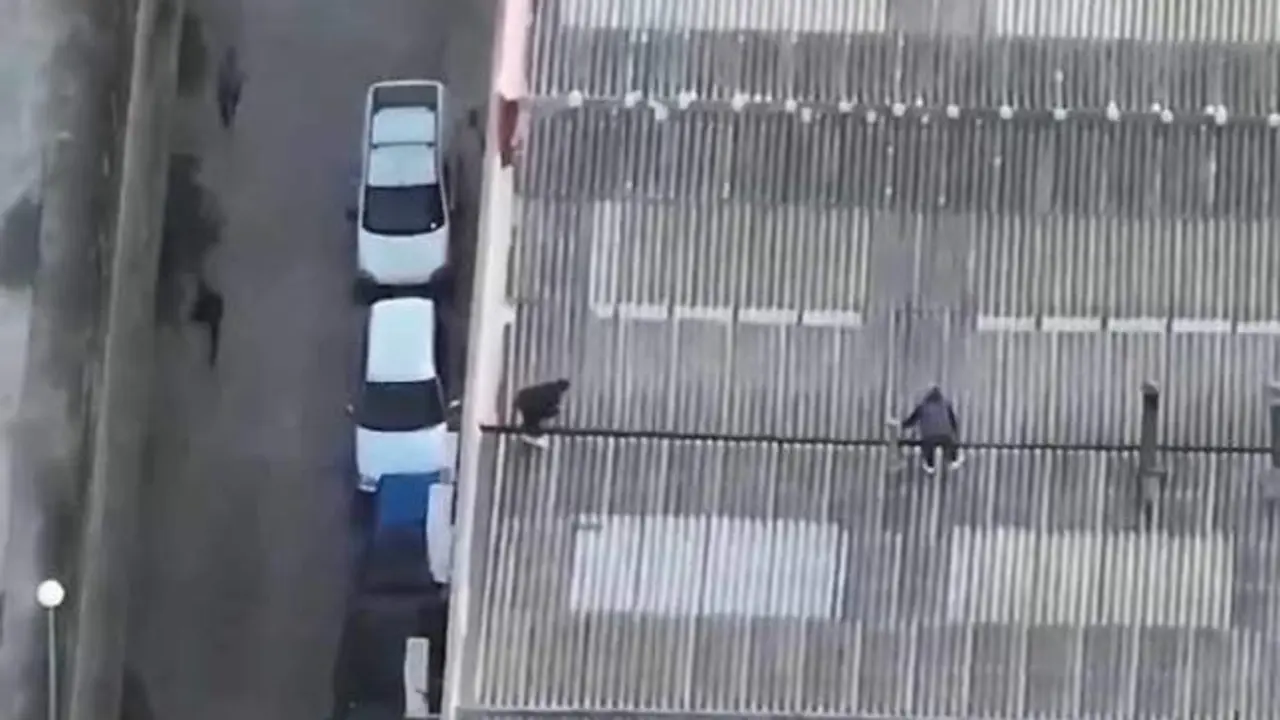 VIDEO. Escapan de la Policía por el tejado, pero los estaban grabando con drones