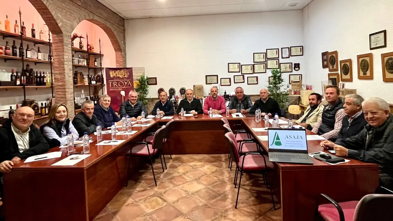 Asaja llevará a UE su estrategia para recuperar la rentabilidad del viñedo en Castilla-La Mancha