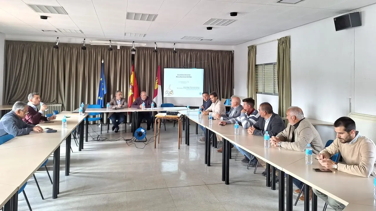 La Mesa Nacional del Ajo estima un descenso del 16% de superficie sembrada