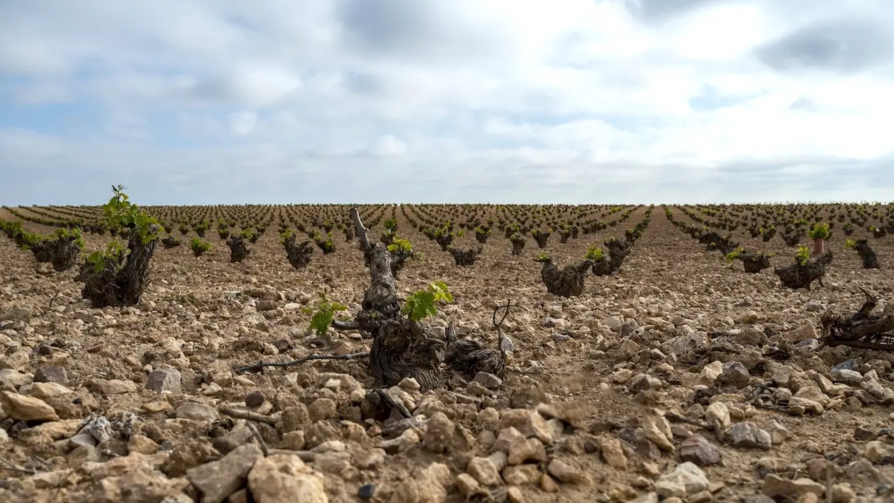 Aumenta volumen de extracción de agua en Campo de Montiel de 5,28 a 6,29 hm³