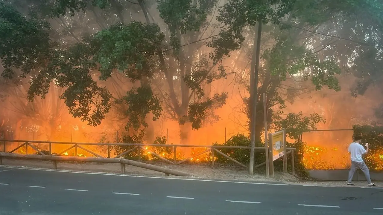Extinguidos dos incendios forestales en el Parque Natural de las Lagunas de Ruidera