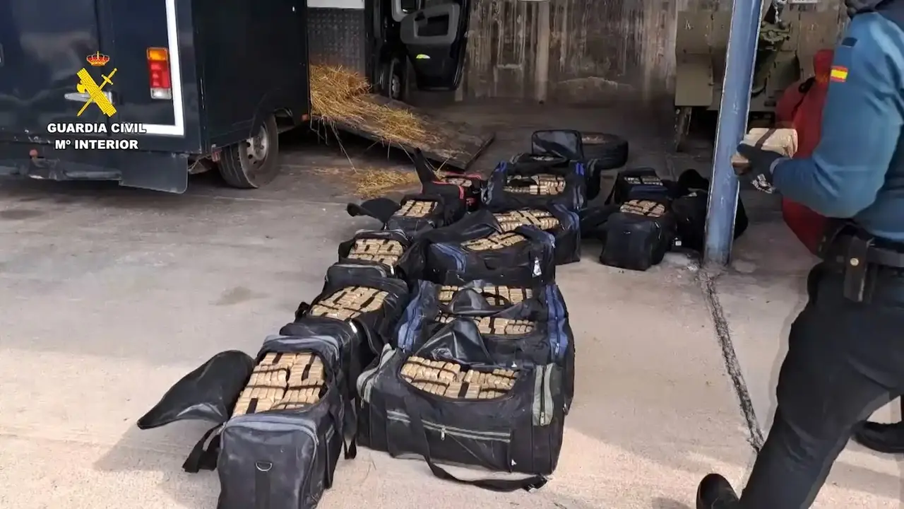 Cae una red que traficaba con droga en vehículos de transporte de caballos