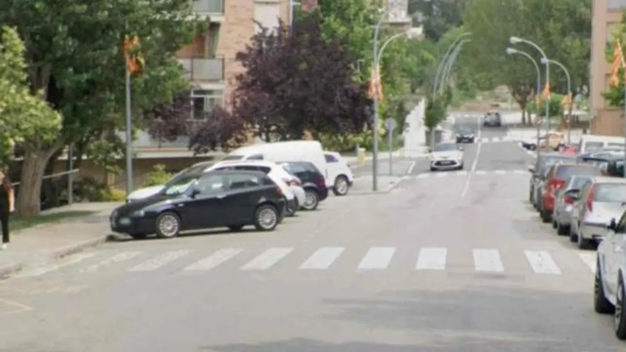 Arrolla a una mujer que cruzaba un paso con su perro y huye dejándola agonizando