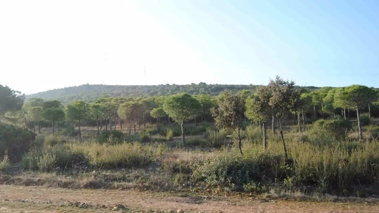 La Policía Nacional localiza a un joven desaparecido en la Dehesa Boyal de Puertollano