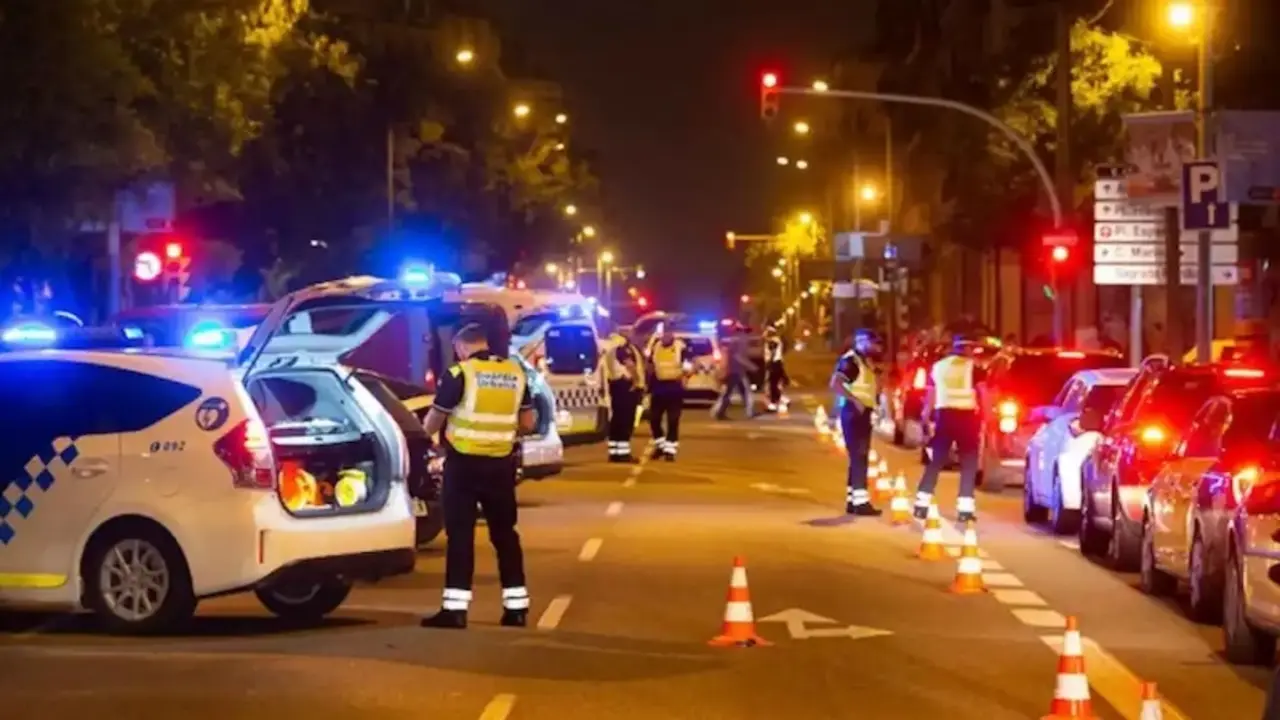 atropello, control, policía, reyerta, detenido, cadáver, accidente, atropellado,