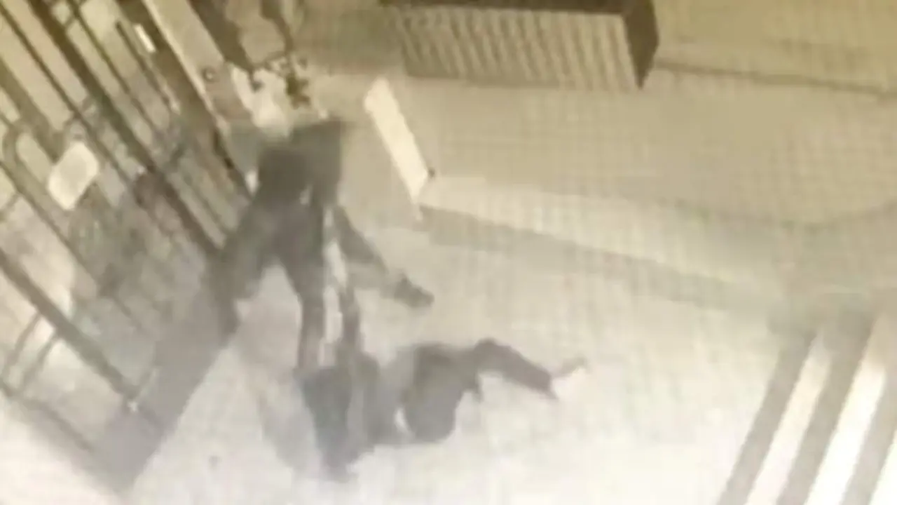 VIDEO. Detenido un peligroso ladrón por un brutal ataque a una chica en un portal
