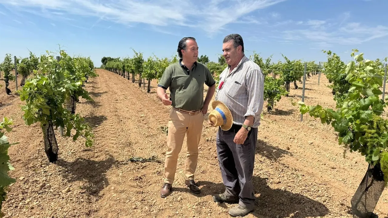 Visita del presidente del grupo parlamentario Vox en las Cortes de Castilla-La Mancha, David Moreno, a una explotación agraria
